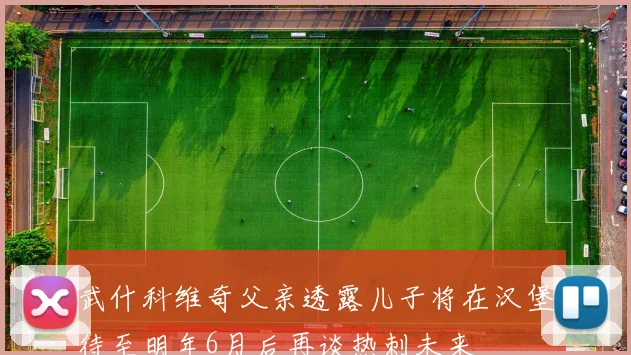 武什科维奇父亲透露儿子将在汉堡待至明年6月后再谈热刺未来