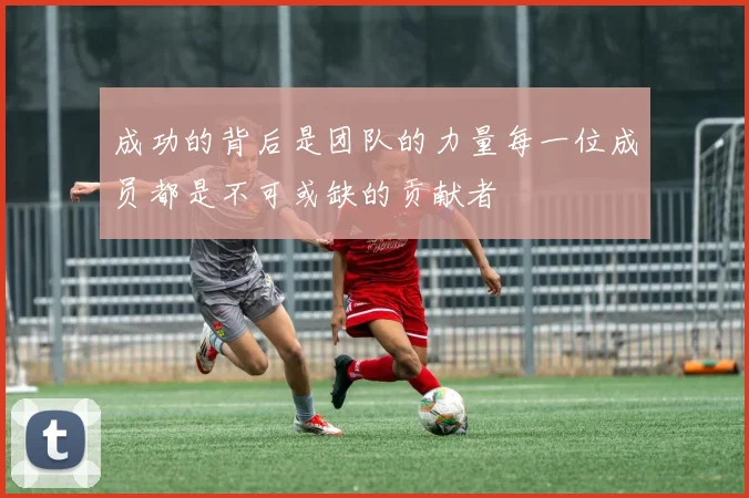 成功的背后是团队的力量每一位成员都是不可或缺的贡献者