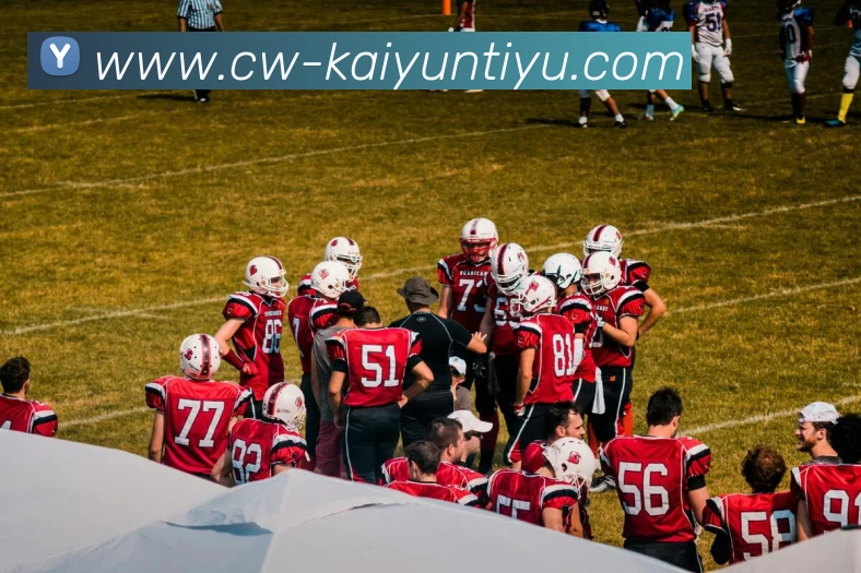 开云体育平台生态图