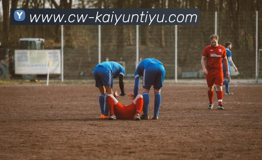 开云体育全站App